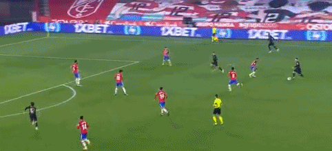 残特奥会游泳比赛现场，教练为何拿着绑着球的长杆，比赛中途还要敲击运动员？这背后是一份无声的默契